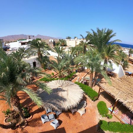 Hotel Miramar Camp Dahab Extérieur photo