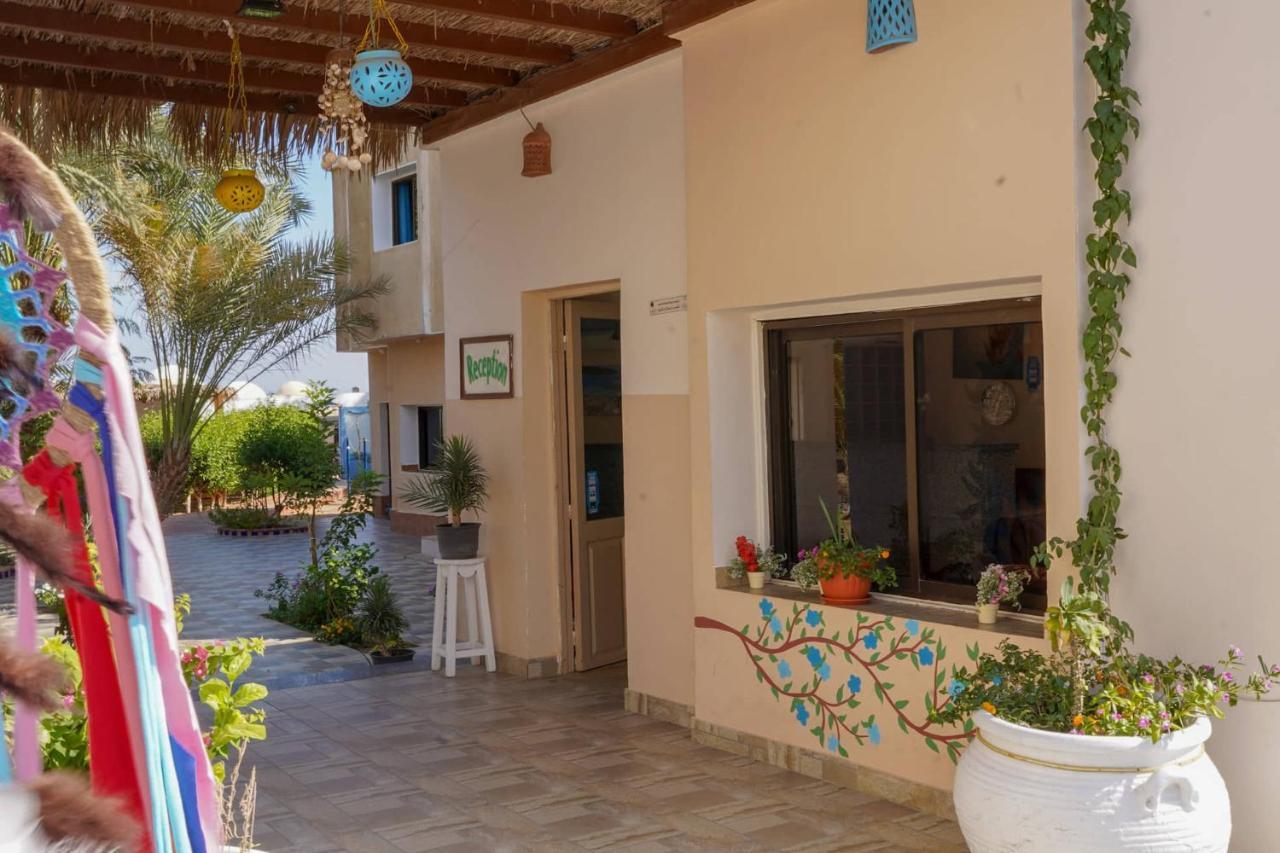 Hotel Miramar Camp Dahab Extérieur photo