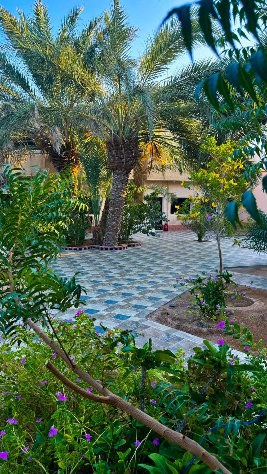 Hotel Miramar Camp Dahab Extérieur photo