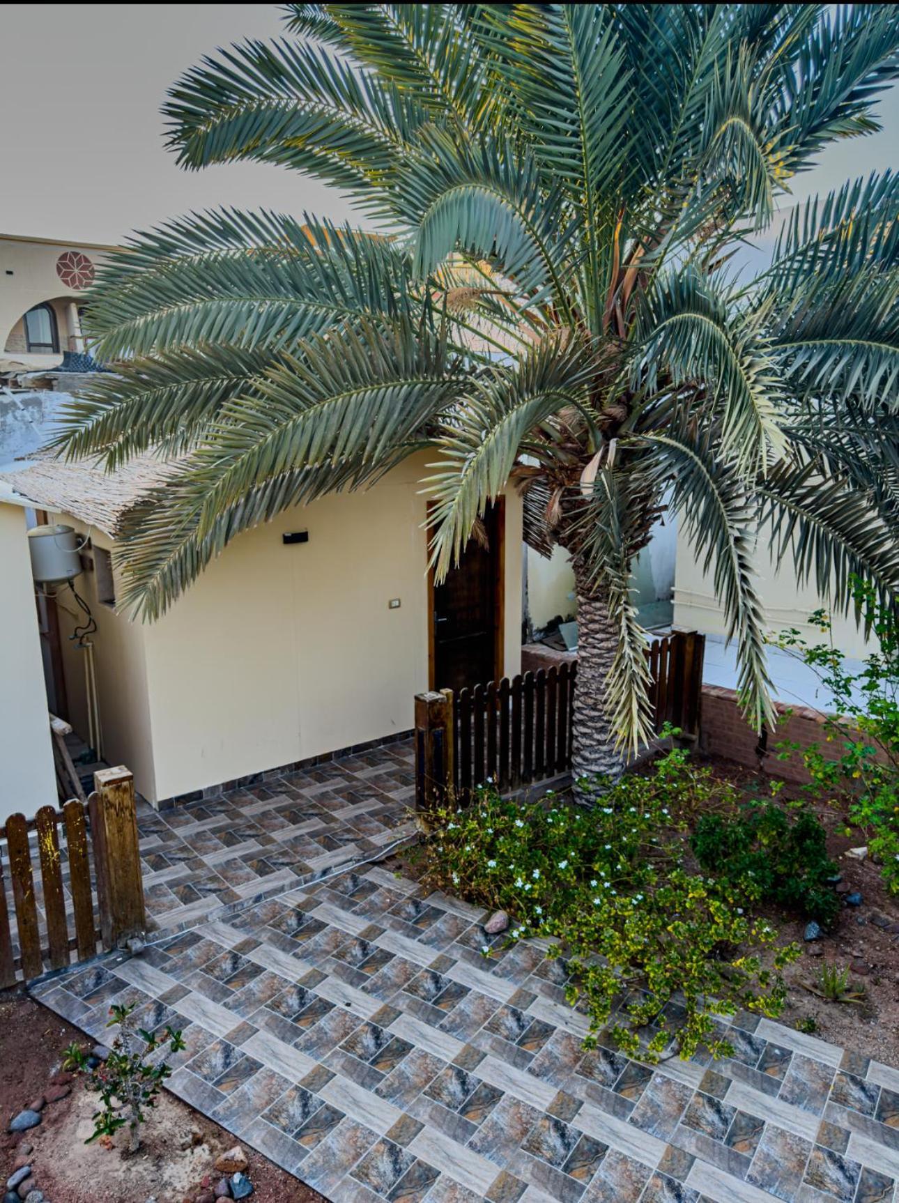 Hotel Miramar Camp Dahab Extérieur photo