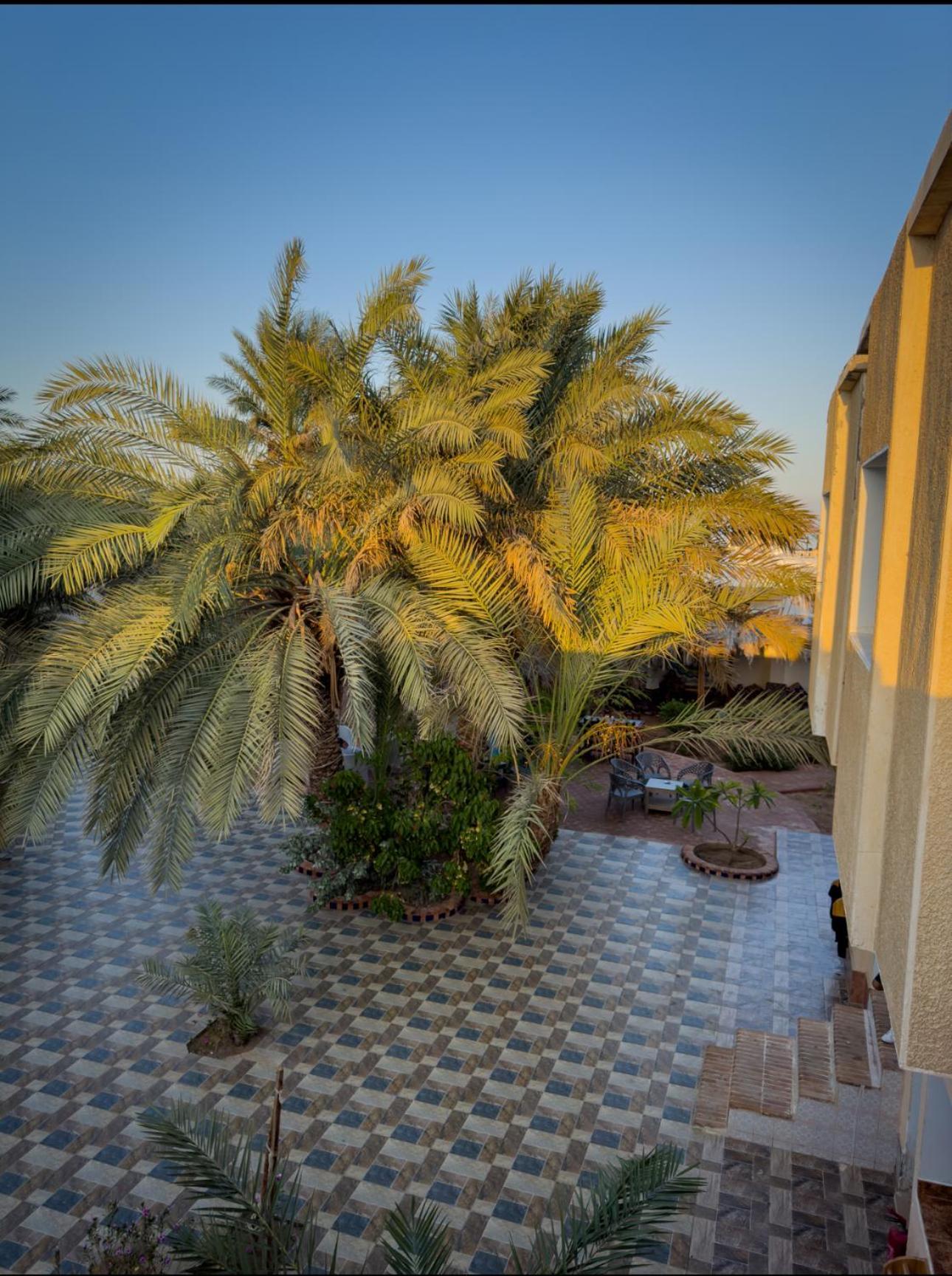 Hotel Miramar Camp Dahab Extérieur photo