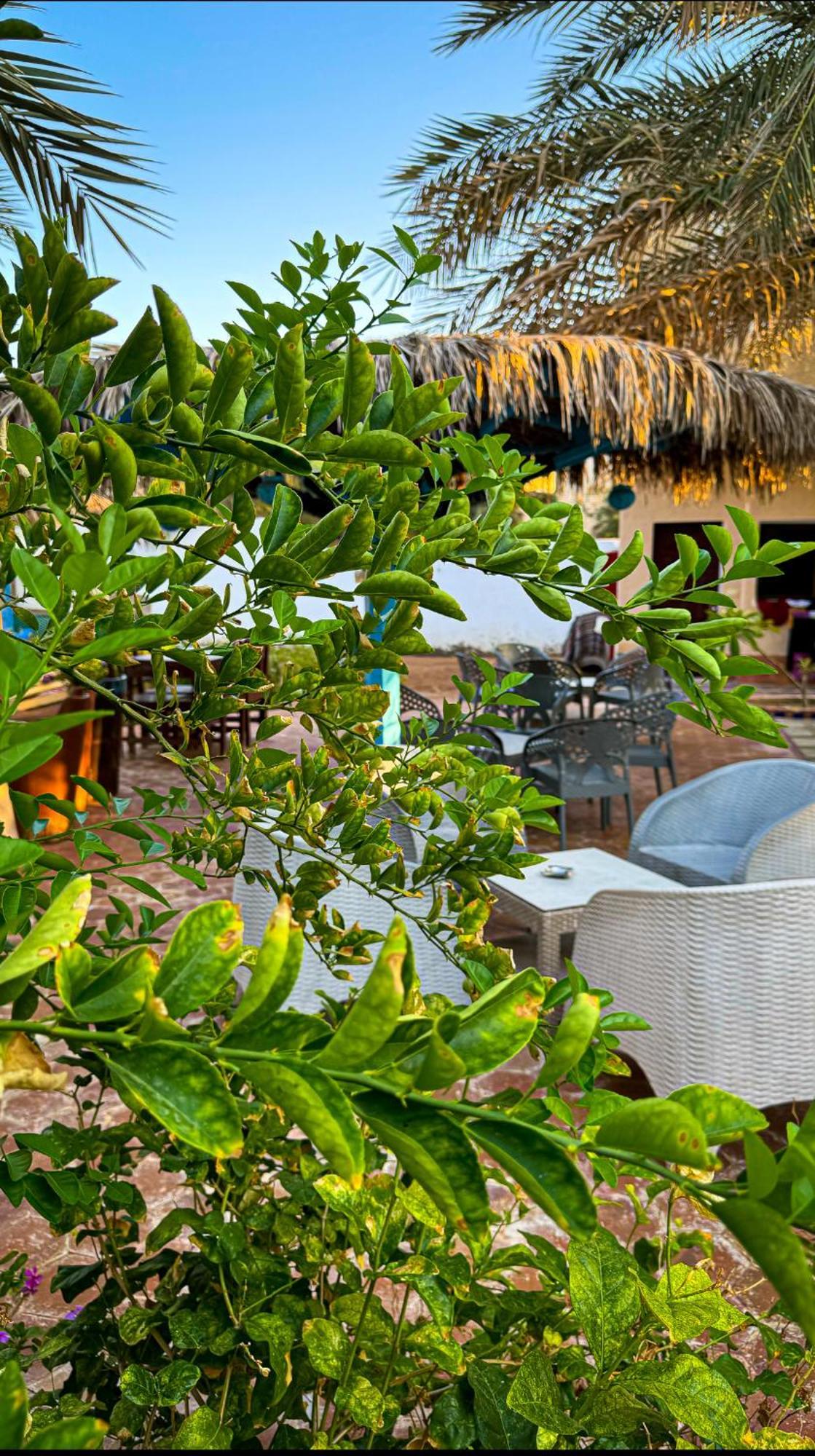 Hotel Miramar Camp Dahab Extérieur photo