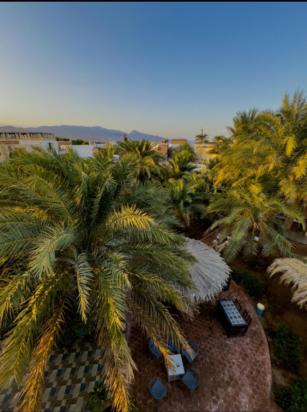 Hotel Miramar Camp Dahab Extérieur photo