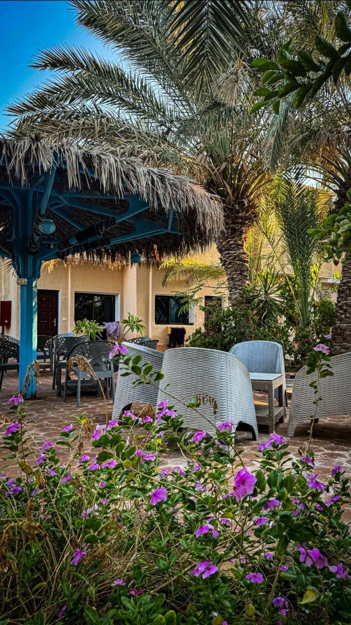 Hotel Miramar Camp Dahab Extérieur photo