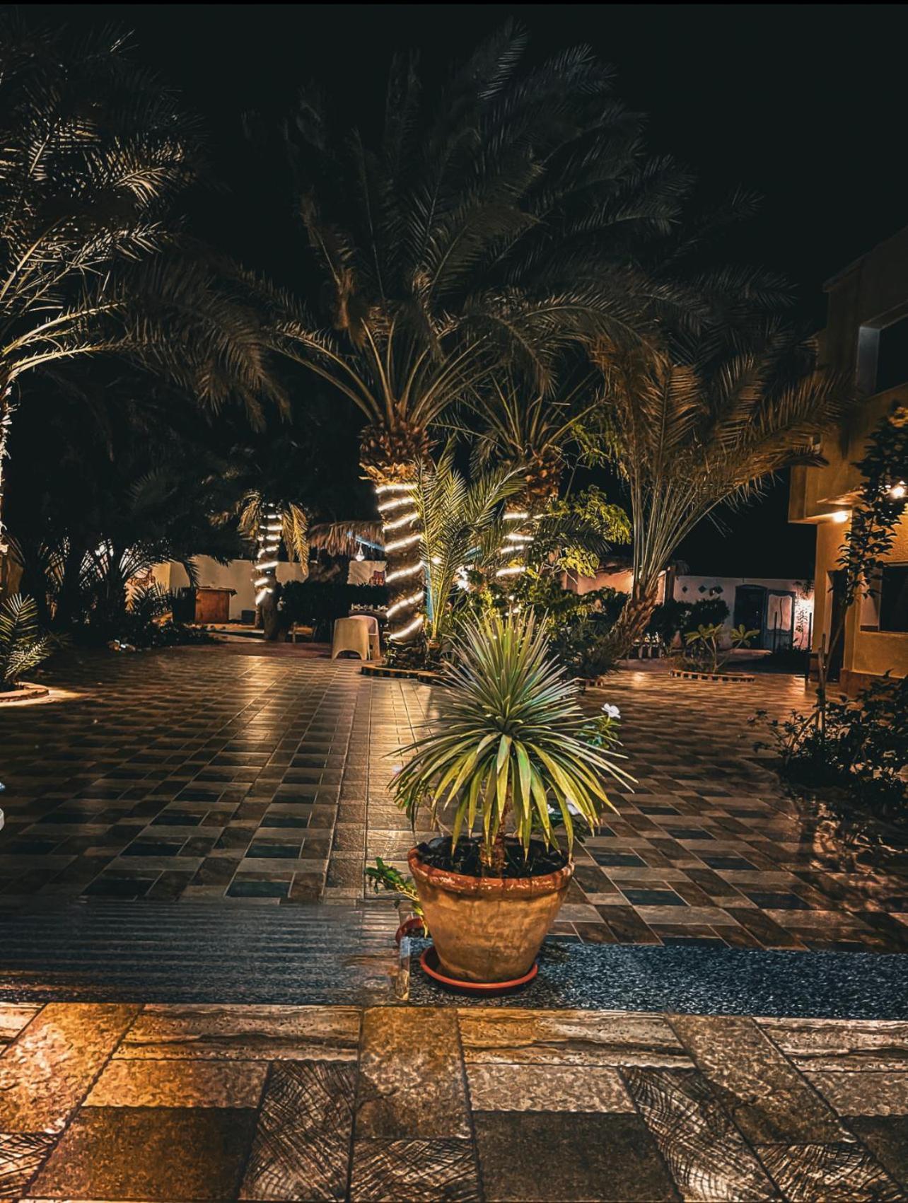 Hotel Miramar Camp Dahab Extérieur photo
